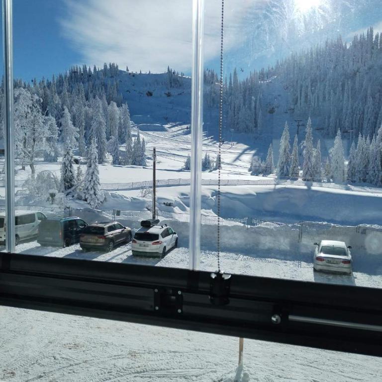 Apartman Jelen - Snežna Dolina - One-Bedroom Apartment - 9