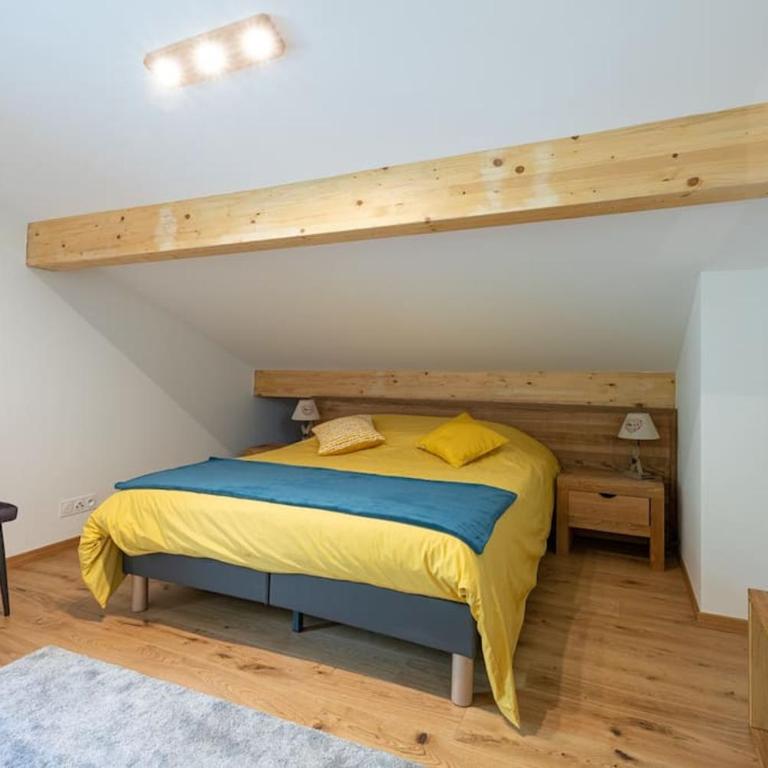 Les 3 Sophies - Magnifique chalet pour 1 à 8 personnes proche des remontées mécaniques des prodains - Chalet - 17