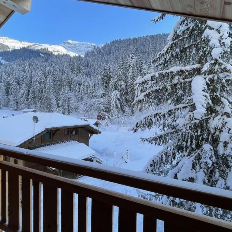 Les 3 Sophies - Magnifique chalet pour 1 à 8 personnes proche des remontées mécaniques des prodains - Chalet - 29