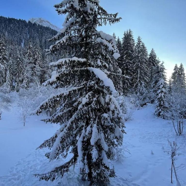 Les 3 Sophies - Magnifique chalet pour 1 à 8 personnes proche des remontées mécaniques des prodains - Chalet - 34