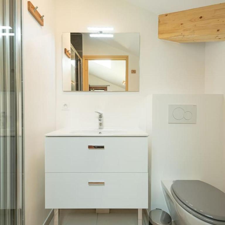 Les 3 Sophies - Magnifique chalet pour 1 à 8 personnes proche des remontées mécaniques des prodains - Chalet - 64