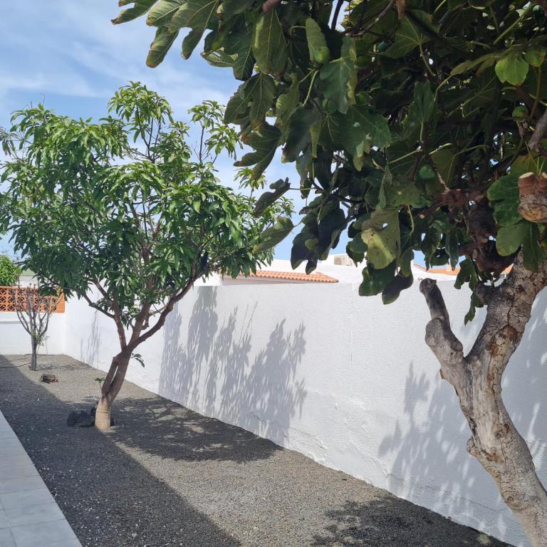 Fabulous Villa Mabel - Villa de 3 dormitorios - 33