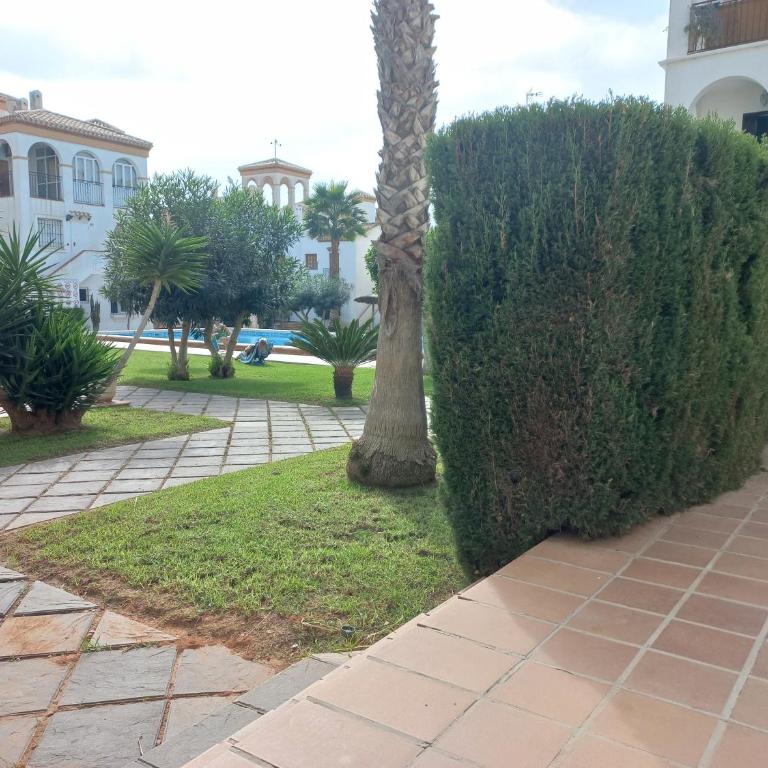 Playa Flamenca 151 - Apartamento de 2 dormitorios - 9