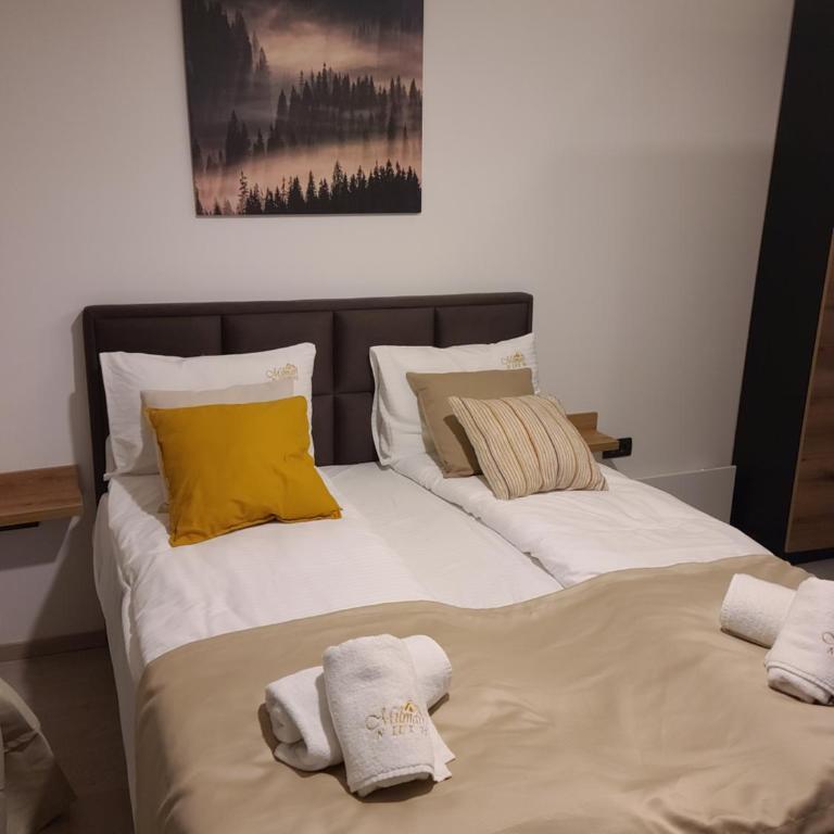 Kopaonik Milmari & Spa N Lux 90 - Studio Apartment - 32