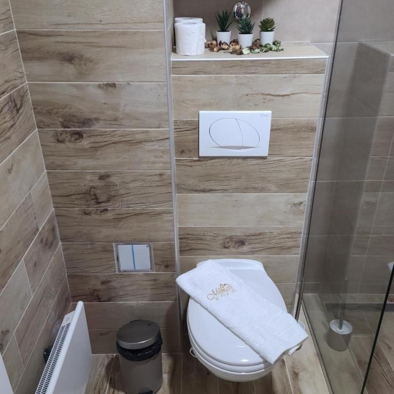 Kopaonik Milmari & Spa N Lux 90 - Studio Apartment - 47