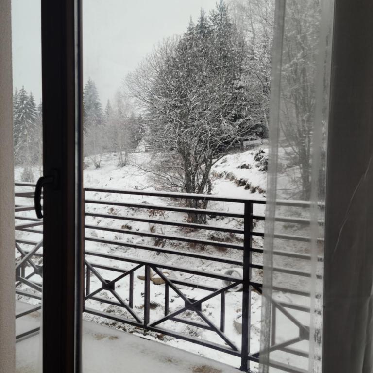 Kopaonik Milmari & Spa N Lux 90 - Studio Apartman - 39