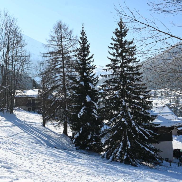 Les bouquetins - Two-Bedroom Apartment - 48