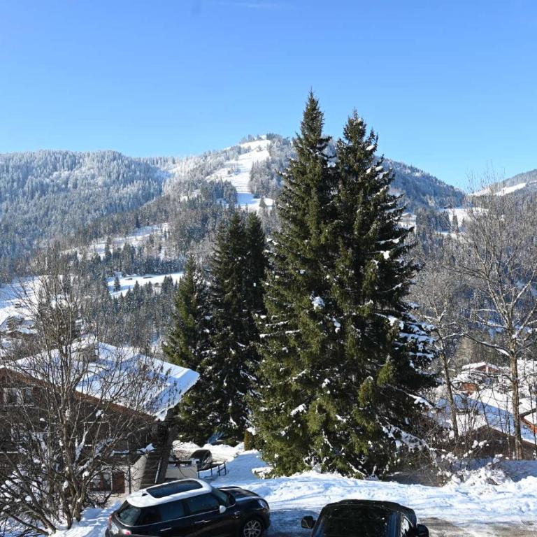 Les bouquetins - Two-Bedroom Apartment - 58