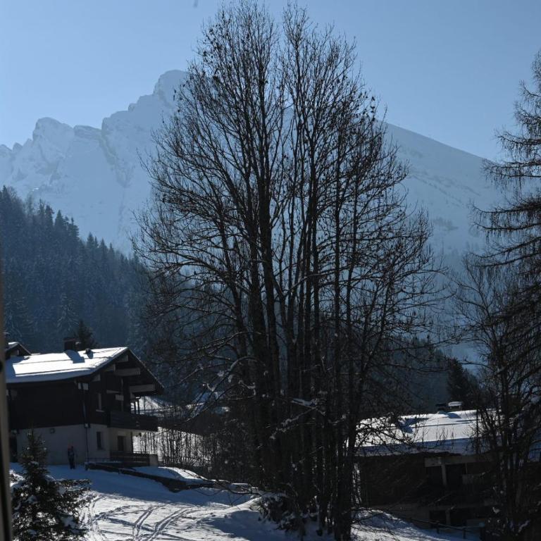 Les bouquetins - Two-Bedroom Apartment - 5
