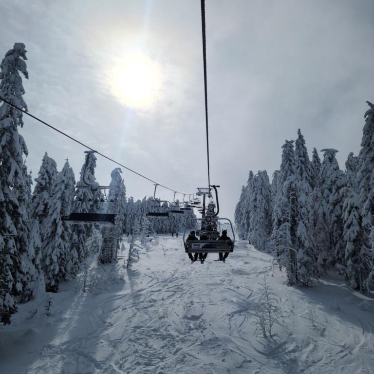 Kopaonik Milmari & Spa N Lux 90 - Studio Apartment - 82