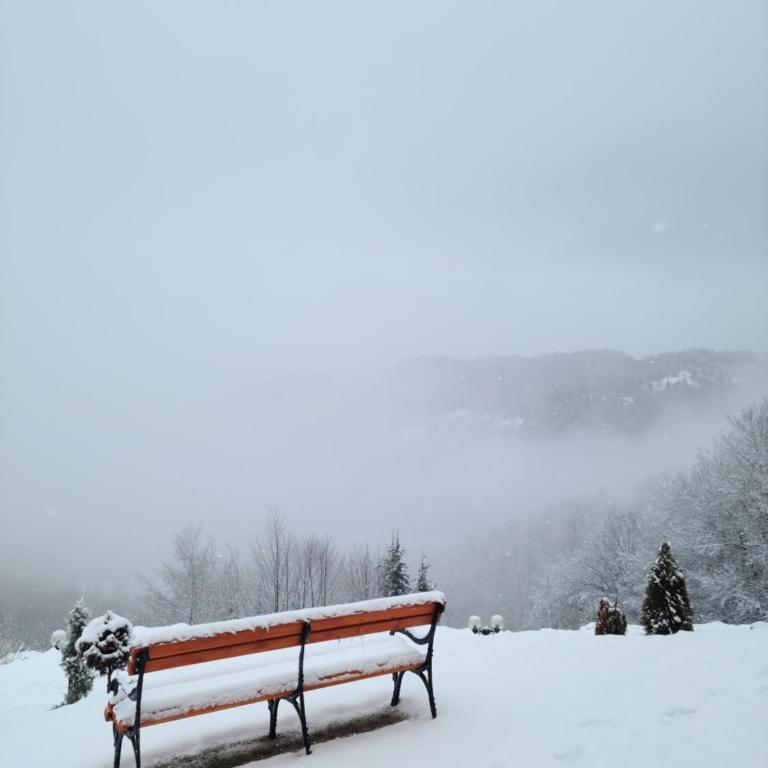 Kopaonik Milmari & Spa N Lux 90 - Studio Apartment - 56