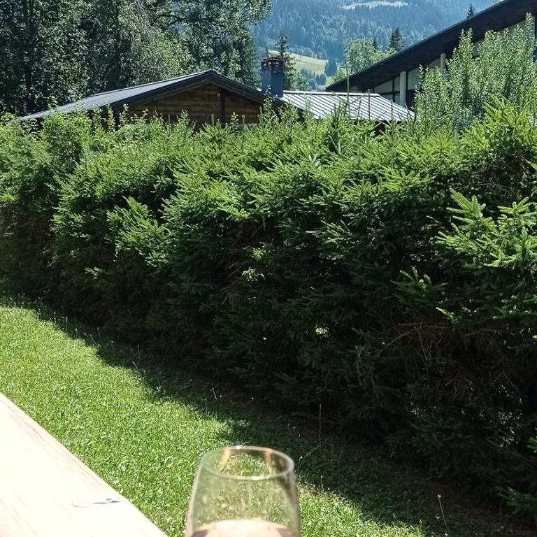 Appartement idéal pour une famille. - Appartement 2 Chambres - 19