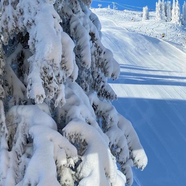 Olimpik House Jahorina - Triple Room with Private Bathroom - 2