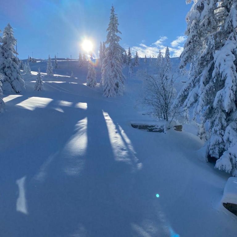 Olimpik House Jahorina - Triple Room with Private Bathroom - 1