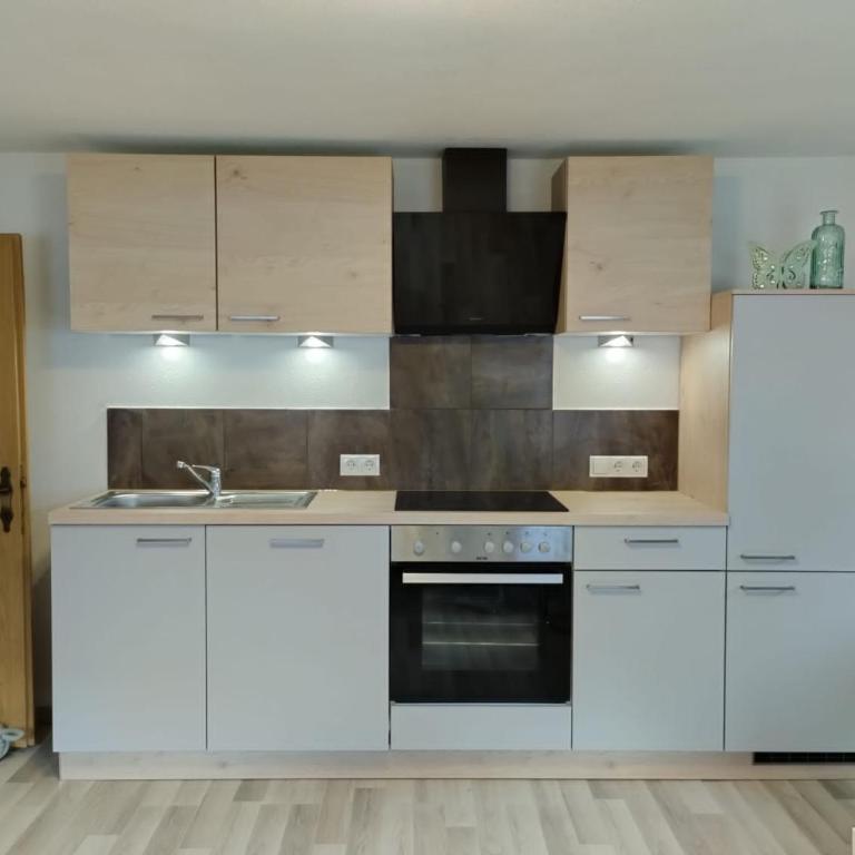Haus Heimat & Appartement - Apartment - 4