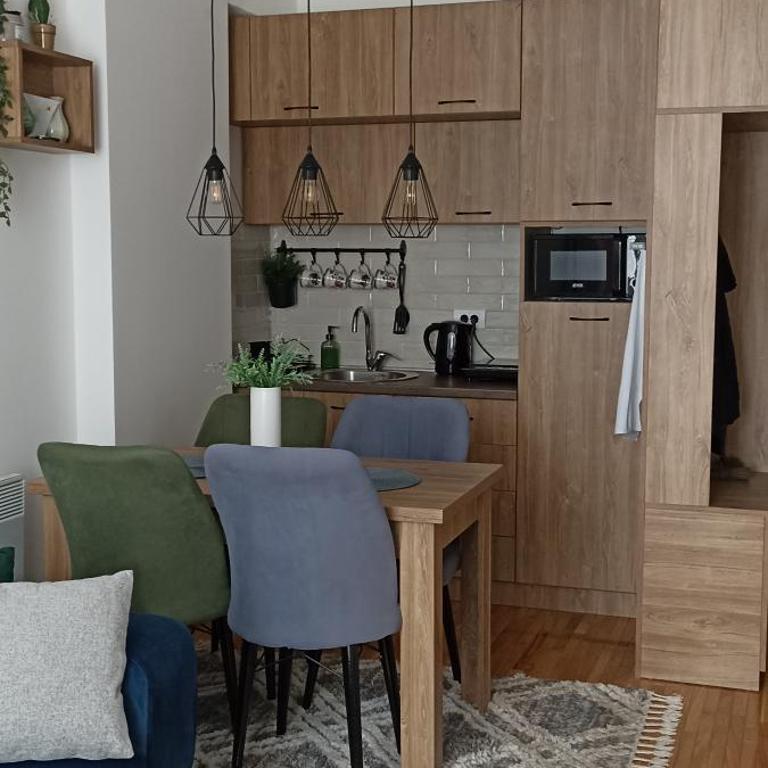 Apartman MonTanja Kopaonik, u hotelu Kraljevi Čardaci - Apartman sa 1 Spavaćom Sobom - 27
