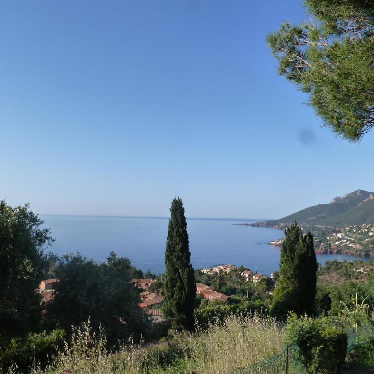 VUE MER PANORAMIQUE EXTRAORDINAIRE - Appartement 1 Chambre - 1