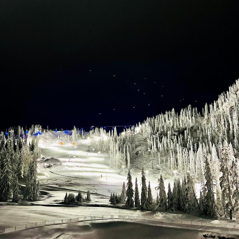 Apartment TT Jahorina - Apartman - 32