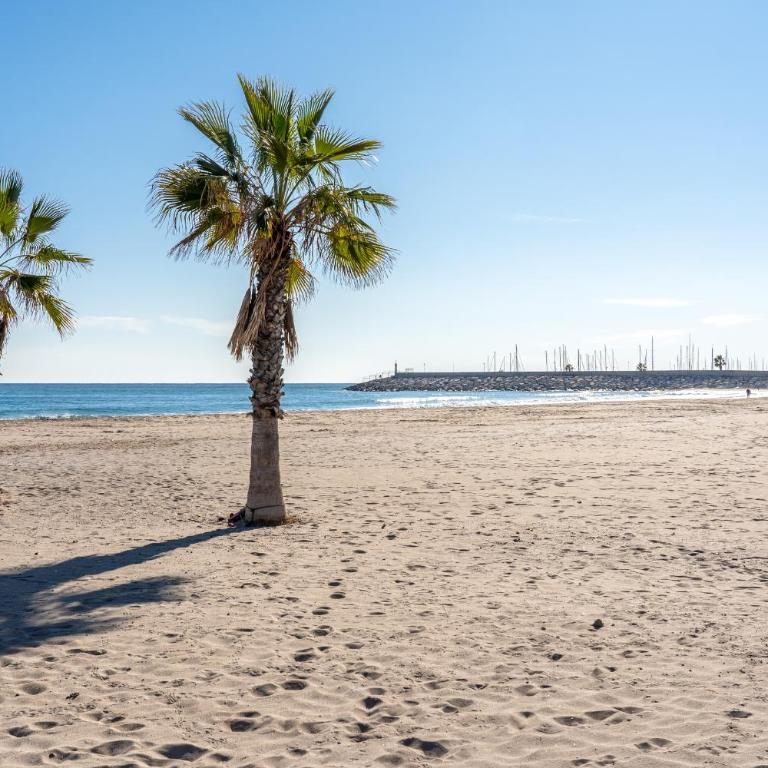 Hauzify I Apartament Torremar - Apartamento de 1 dormitorio - 16