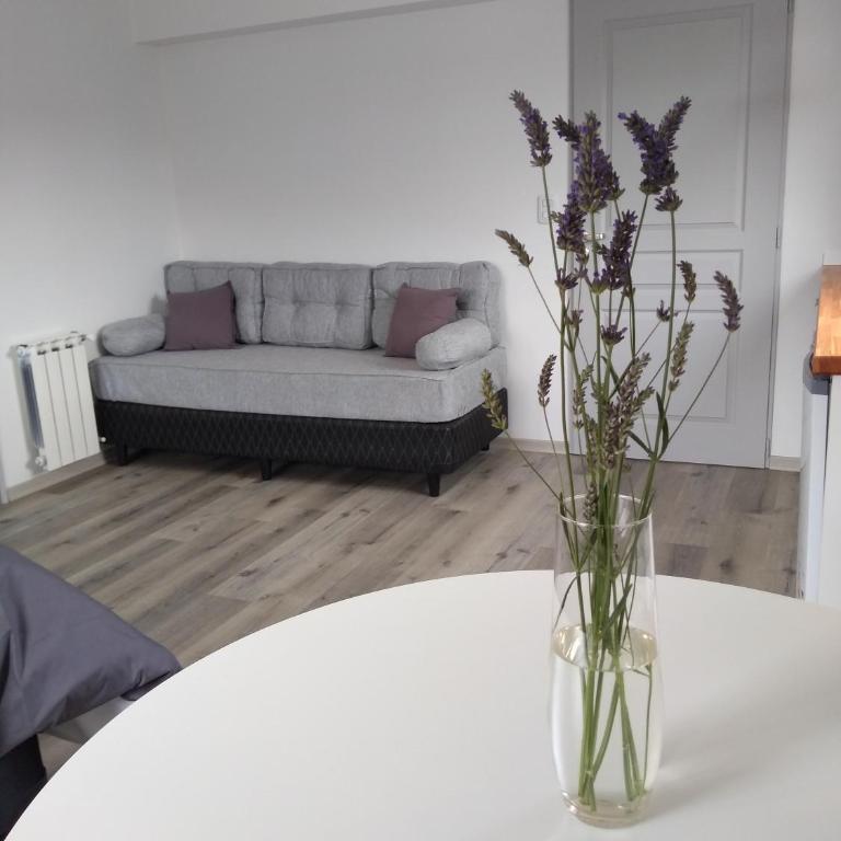 SOApart 1 - Estudio - 5