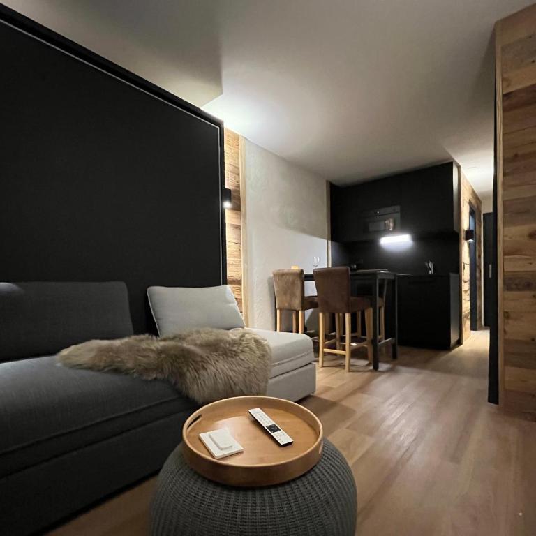 Grand Roc - Appartements & Studios - ANZERE - Deluxe Studio - 6