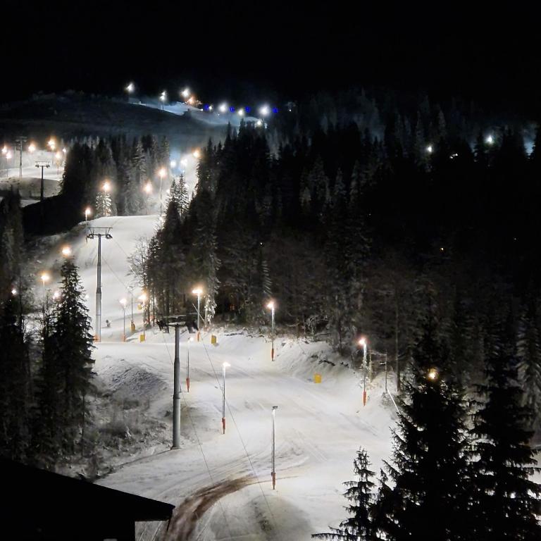 Cozy Ski Apartment Jahorina - One-Bedroom Apartment - 31