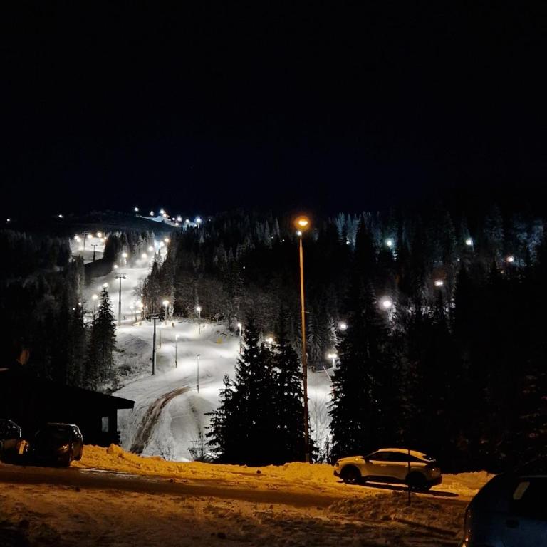 Cozy Ski Apartment Jahorina - One-Bedroom Apartment - 32