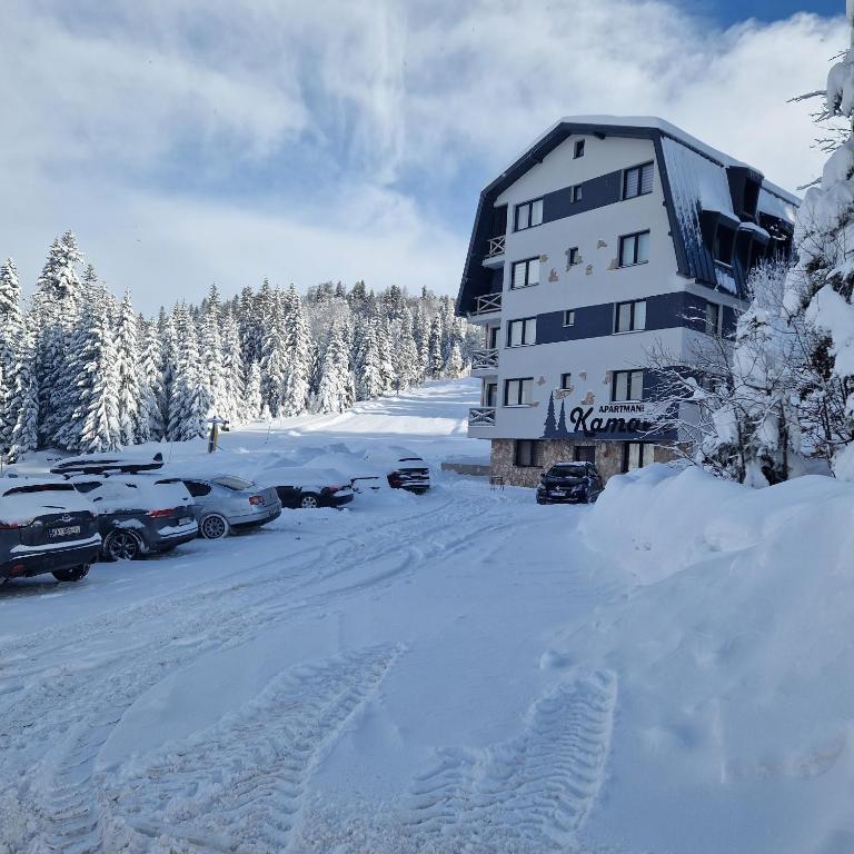 Cozy Ski Apartment Jahorina - One-Bedroom Apartment - 25