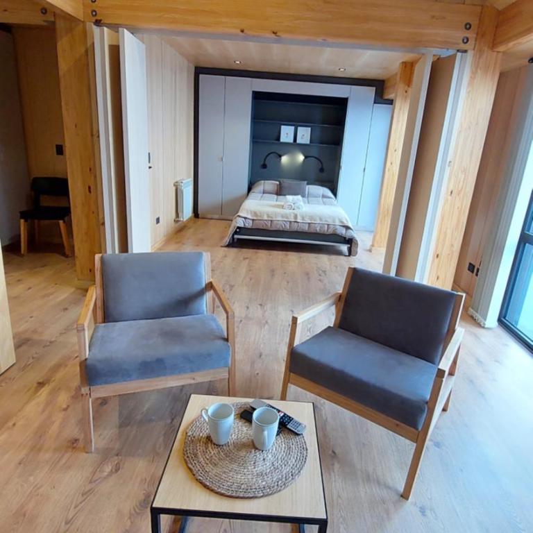 Hermoso y cálido departamento en el centro de SMA, 21V5 - Apartamento de 2 dormitorios - 29