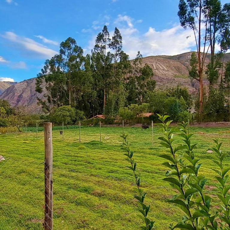 Villa Kallpawasi - Guesthouse - Three-Bedroom Villa - 33