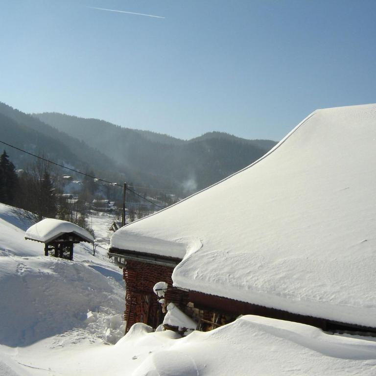 Charmant Gîte avec Garage et Local Vélos au Pied des Pistes de La Bresse - FR-1-589-127 - Ferienhaus (4 Erwachsene) - 2