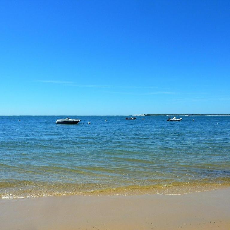 T2 bis rénové à Arcachon centre avec 2 terrasses, clim, parking, proche plage et gare. - FR-1-420-84 - Appartamento (6 Adulti) - 15