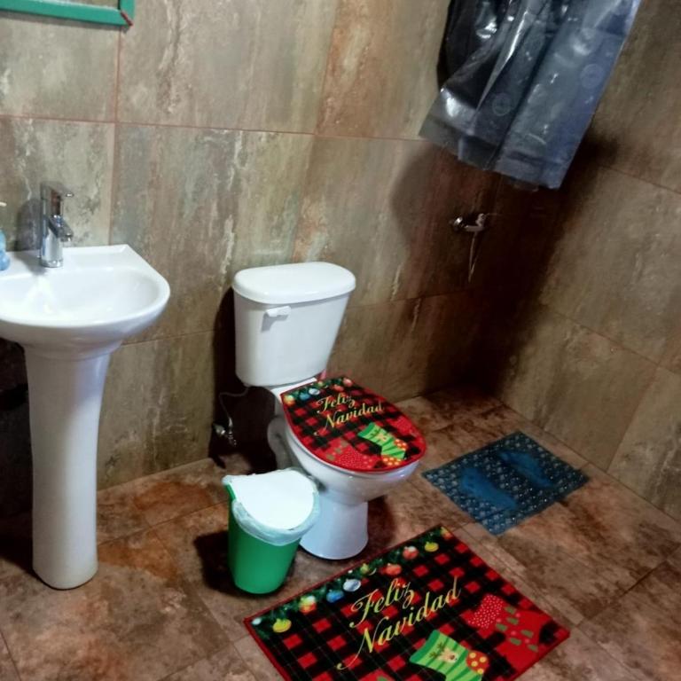 Cabaña Cunco parcela - Three-Bedroom Apartment - 20