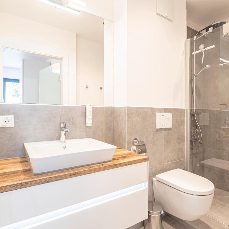 Hideaway Dachstein West by ALPS RESORTS - Superior Ferienapartment für bis zu 6 Personen & Infinity-Pool - 18