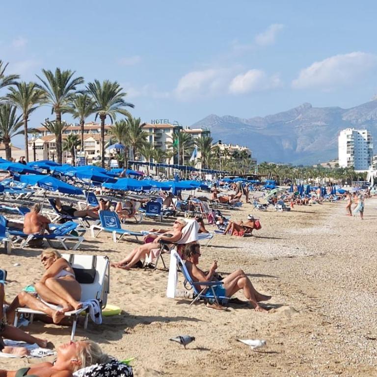 Casa Font Roja - Albir - Apartamento de 1 dormitorio - 44