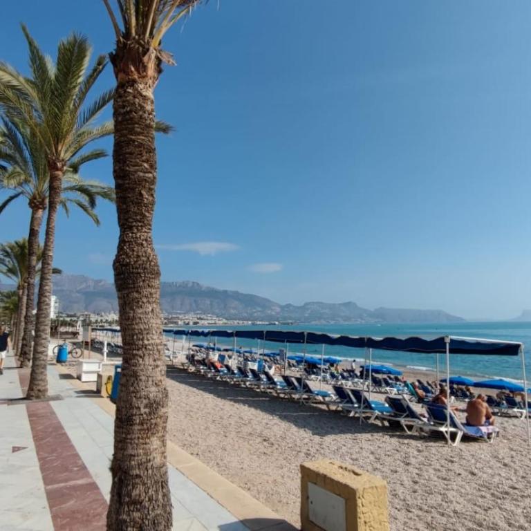 Casa Font Roja - Albir - Apartamento de 1 dormitorio - 45