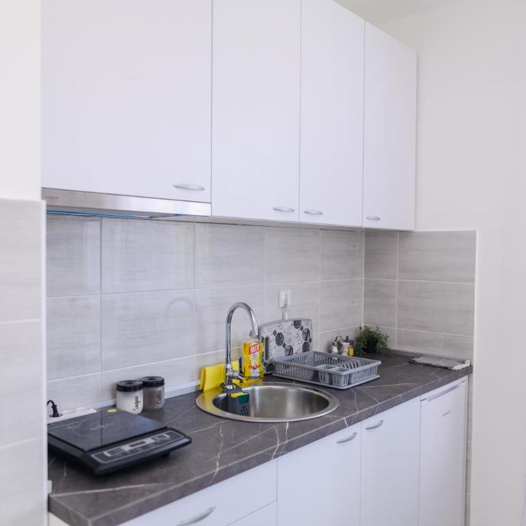 Apartman MASTER - Apartman sa 1 Spavaćom Sobom - 5
