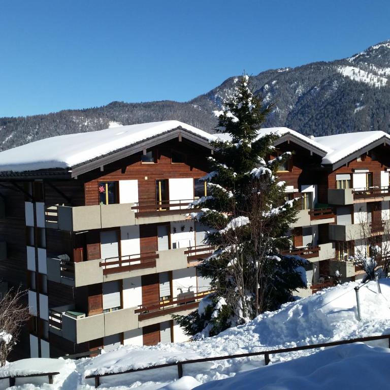 Appartement Nevada 105 - Apartment - 24