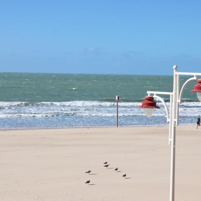 AranPe PLAYA CÁDIZ - Apartamento de 2 dormitorios - 6