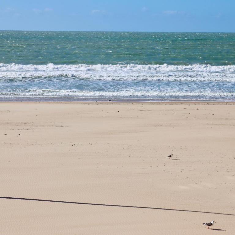 AranPe PLAYA CÁDIZ - Apartamento de 2 dormitorios - 19