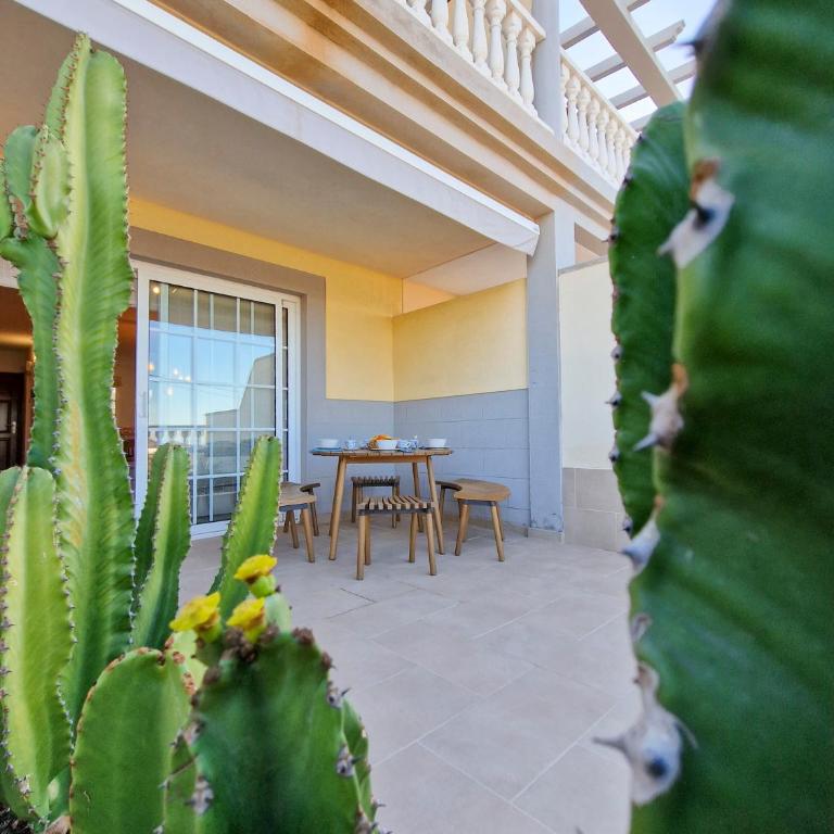 MEDANO4YOU Allwaves Holiday Home - Casa de 3 dormitorios - 51