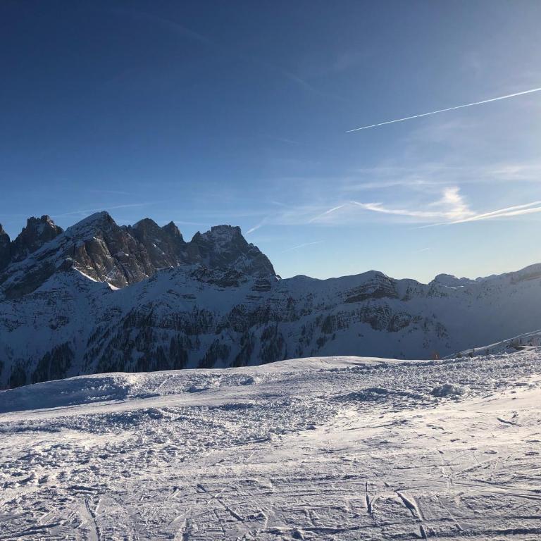 Perla Dolomiti Falt - Appartamento con 1 Camera da Letto - 6