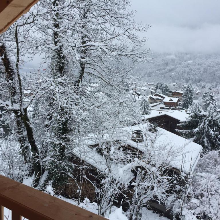 Chalet Lilalpes SPA - Chalet - 16