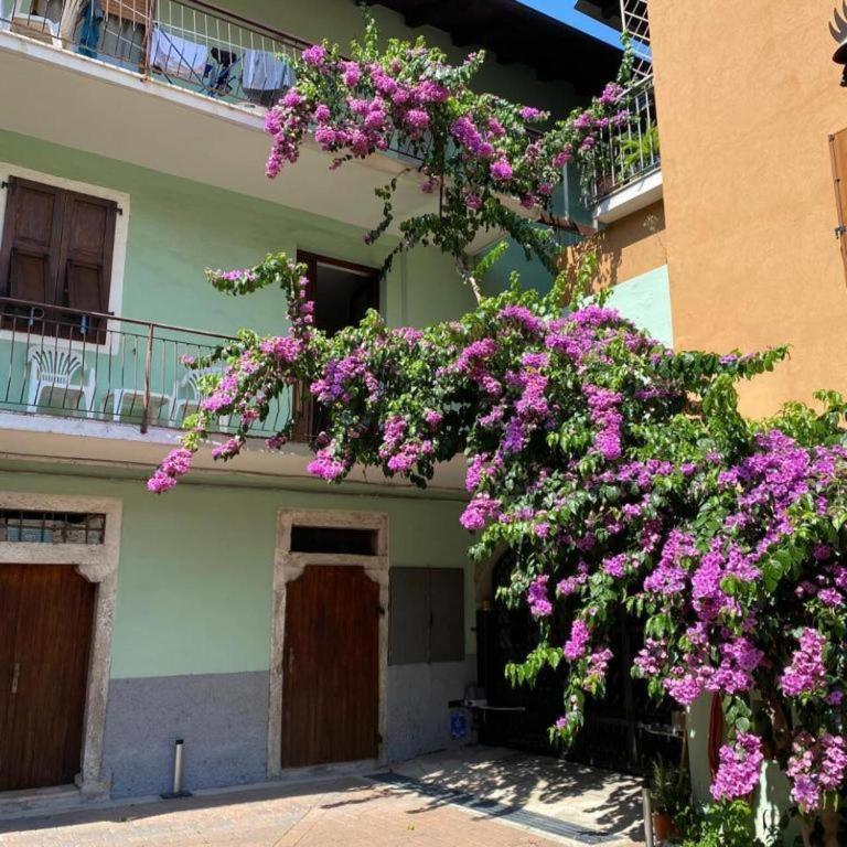 Casa Zanoni - Apartment mit 2 Schlafzimmern - 3