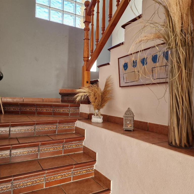 Riumar "Eva", 300m to beach, private pool, On-Site-Service, dog beach - Casa de 4 dormitorios - 52