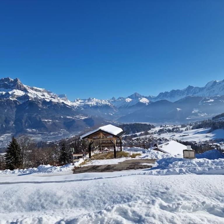 Appartement - Vue Mont-Blanc - Appartement 2 Chambres - 5