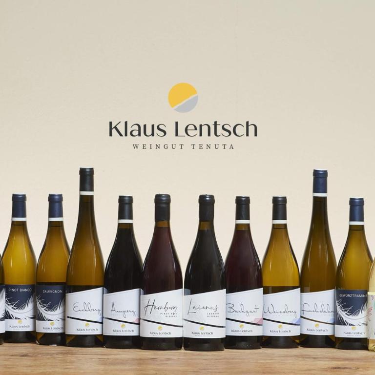 Weingut Klaus Lentsch - Appartamento con 1 Camera da Letto con Vista - 15