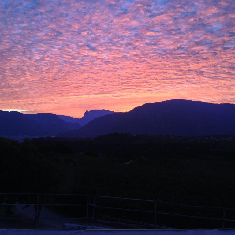 Weingut Klaus Lentsch - Appartamento con 1 Camera da Letto con Vista - 33