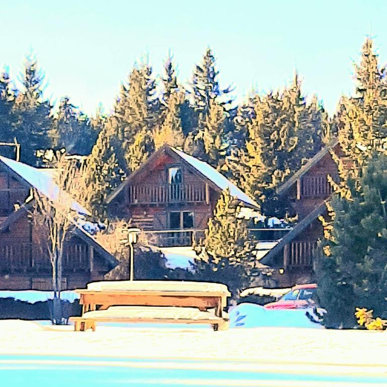 Maison de bois finlandaise au pied des pistes - Chalet 3 Chambres - 17
