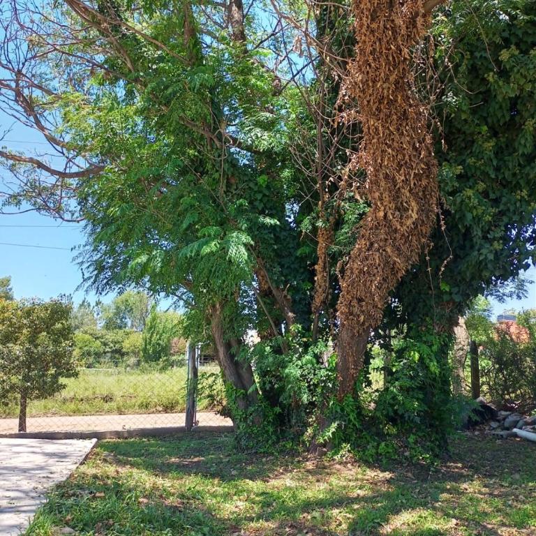 Mardi - Departamentos de alquiler temporario - Apartamento de 2 dormitorios - 32